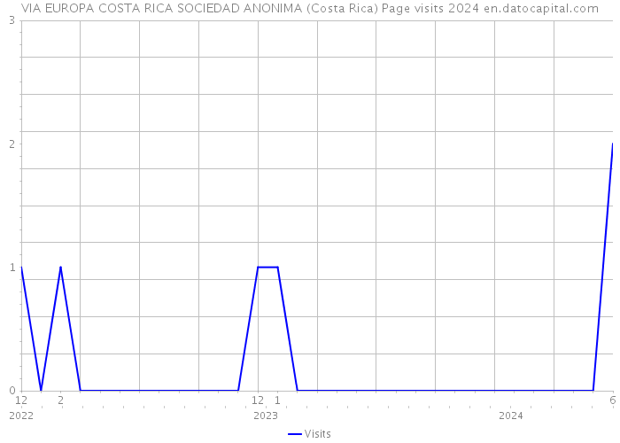 VIA EUROPA COSTA RICA SOCIEDAD ANONIMA (Costa Rica) Page visits 2024 