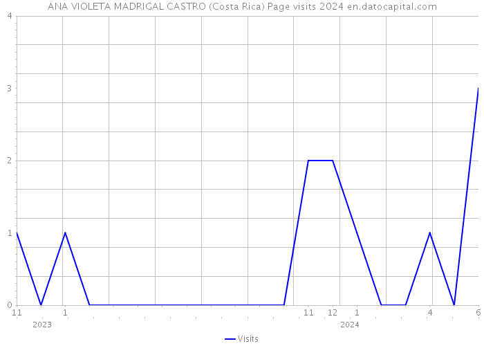 ANA VIOLETA MADRIGAL CASTRO (Costa Rica) Page visits 2024 