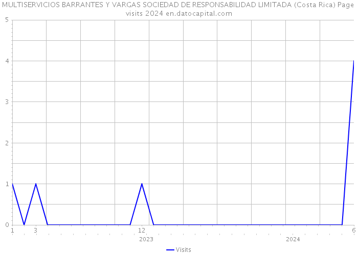 MULTISERVICIOS BARRANTES Y VARGAS SOCIEDAD DE RESPONSABILIDAD LIMITADA (Costa Rica) Page visits 2024 