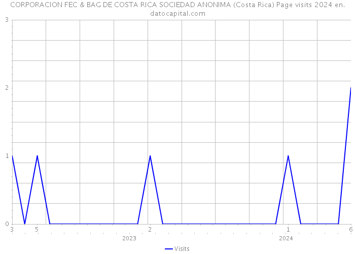 CORPORACION FEC & BAG DE COSTA RICA SOCIEDAD ANONIMA (Costa Rica) Page visits 2024 