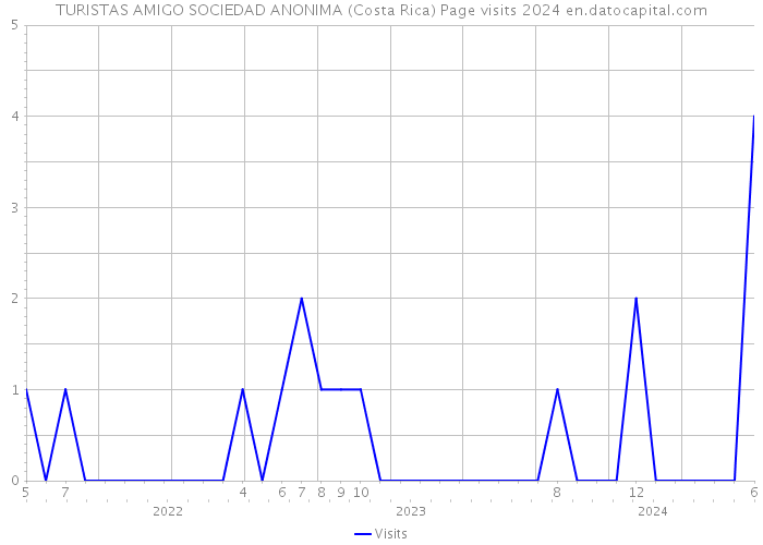 TURISTAS AMIGO SOCIEDAD ANONIMA (Costa Rica) Page visits 2024 