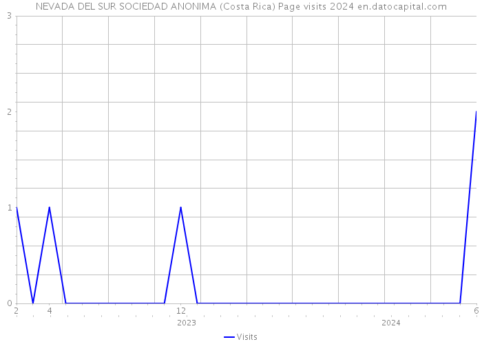 NEVADA DEL SUR SOCIEDAD ANONIMA (Costa Rica) Page visits 2024 