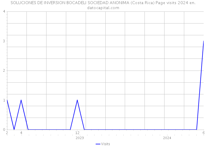 SOLUCIONES DE INVERSION BOCADELI SOCIEDAD ANONIMA (Costa Rica) Page visits 2024 