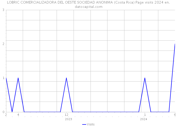 LOBRIC COMERCIALIZADORA DEL OESTE SOCIEDAD ANONIMA (Costa Rica) Page visits 2024 