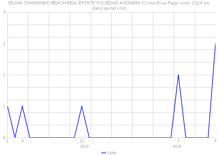 SELINA TAMARINDO BEACH REAL ESTATE SOCIEDAD ANONIMA (Costa Rica) Page visits 2024 