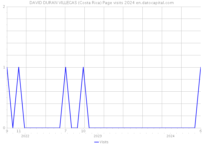 DAVID DURAN VILLEGAS (Costa Rica) Page visits 2024 
