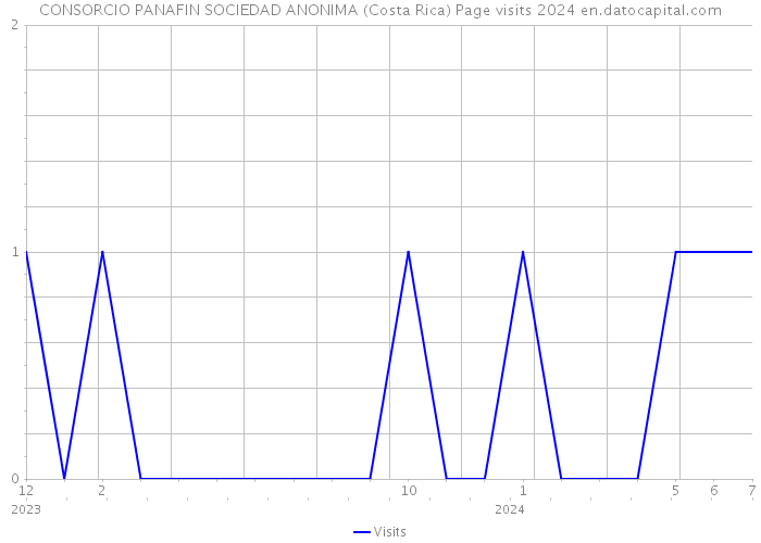 CONSORCIO PANAFIN SOCIEDAD ANONIMA (Costa Rica) Page visits 2024 