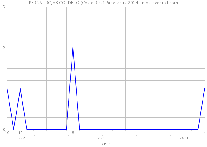 BERNAL ROJAS CORDERO (Costa Rica) Page visits 2024 