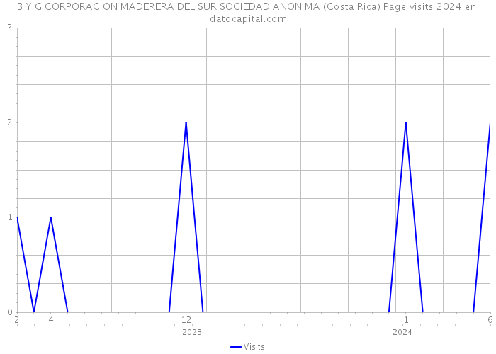 B Y G CORPORACION MADERERA DEL SUR SOCIEDAD ANONIMA (Costa Rica) Page visits 2024 