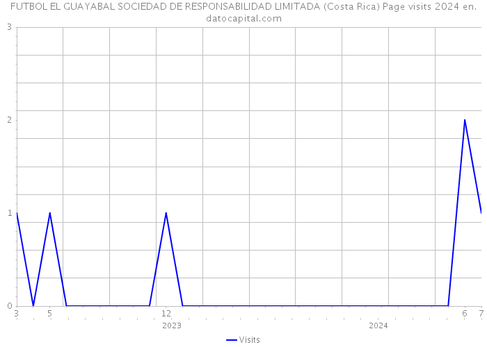 FUTBOL EL GUAYABAL SOCIEDAD DE RESPONSABILIDAD LIMITADA (Costa Rica) Page visits 2024 