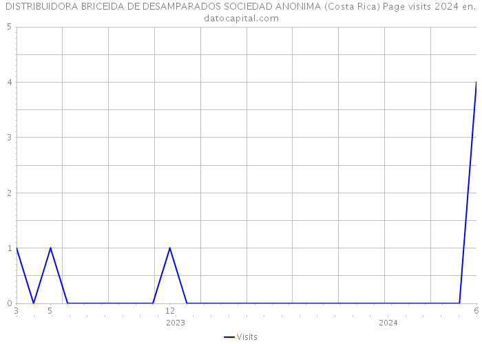 DISTRIBUIDORA BRICEIDA DE DESAMPARADOS SOCIEDAD ANONIMA (Costa Rica) Page visits 2024 
