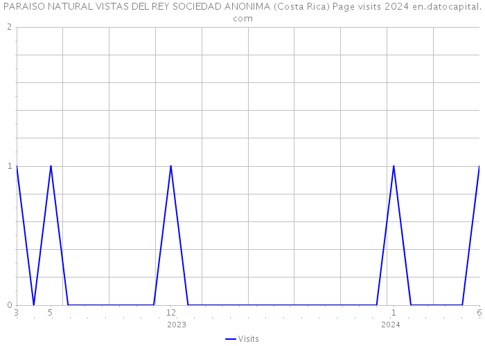 PARAISO NATURAL VISTAS DEL REY SOCIEDAD ANONIMA (Costa Rica) Page visits 2024 