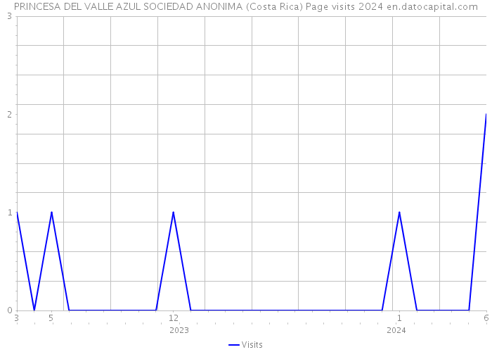 PRINCESA DEL VALLE AZUL SOCIEDAD ANONIMA (Costa Rica) Page visits 2024 