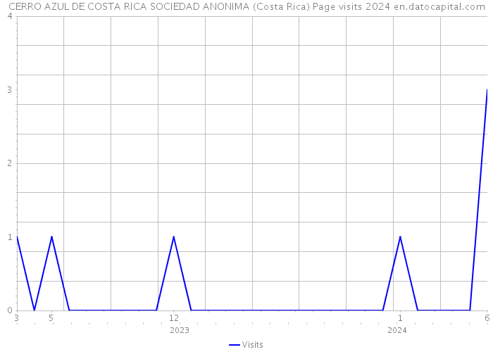 CERRO AZUL DE COSTA RICA SOCIEDAD ANONIMA (Costa Rica) Page visits 2024 