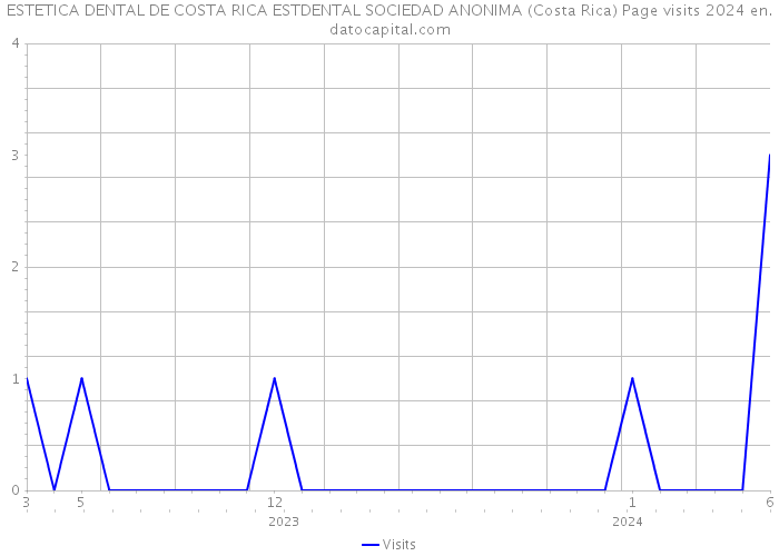 ESTETICA DENTAL DE COSTA RICA ESTDENTAL SOCIEDAD ANONIMA (Costa Rica) Page visits 2024 