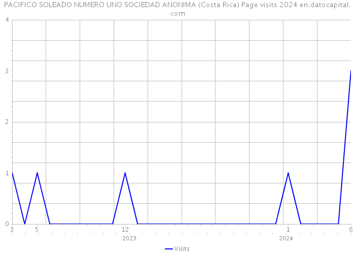 PACIFICO SOLEADO NUMERO UNO SOCIEDAD ANONIMA (Costa Rica) Page visits 2024 