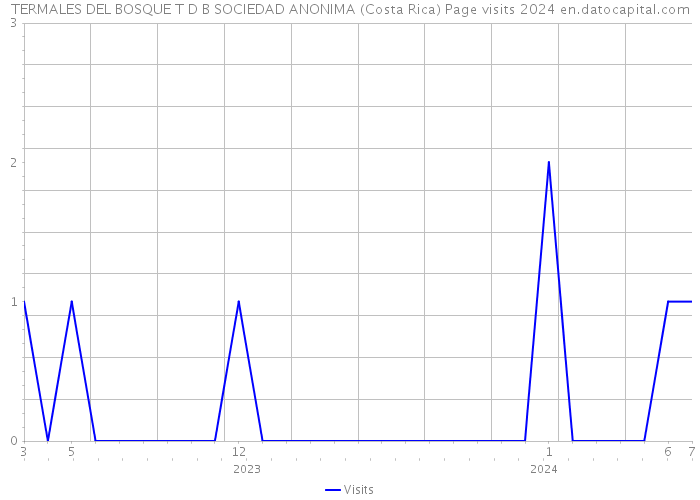 TERMALES DEL BOSQUE T D B SOCIEDAD ANONIMA (Costa Rica) Page visits 2024 