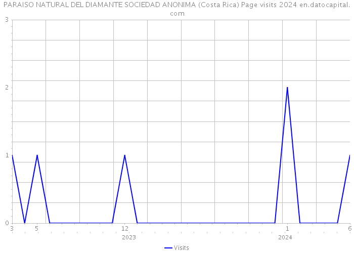 PARAISO NATURAL DEL DIAMANTE SOCIEDAD ANONIMA (Costa Rica) Page visits 2024 