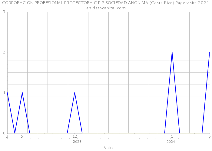 CORPORACION PROFESIONAL PROTECTORA C P P SOCIEDAD ANONIMA (Costa Rica) Page visits 2024 
