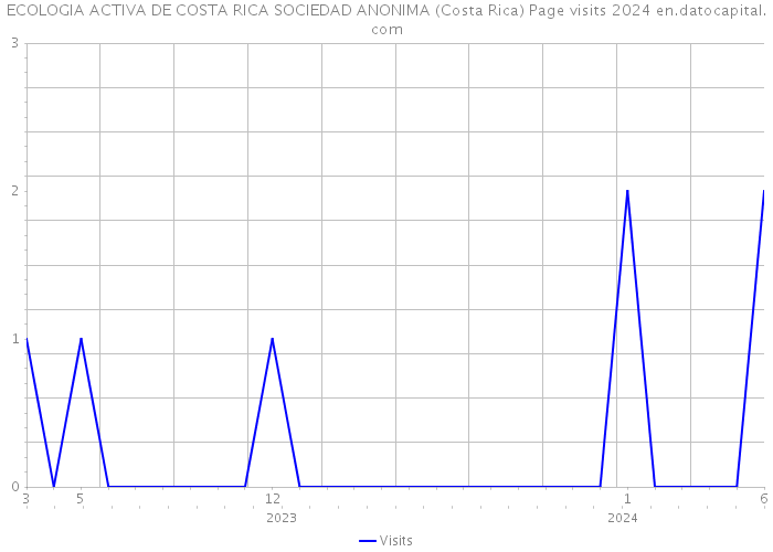 ECOLOGIA ACTIVA DE COSTA RICA SOCIEDAD ANONIMA (Costa Rica) Page visits 2024 