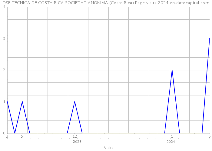 DSB TECNICA DE COSTA RICA SOCIEDAD ANONIMA (Costa Rica) Page visits 2024 