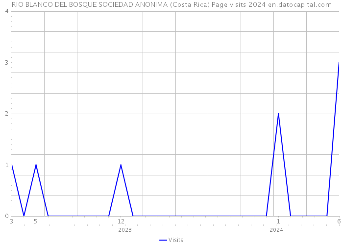 RIO BLANCO DEL BOSQUE SOCIEDAD ANONIMA (Costa Rica) Page visits 2024 
