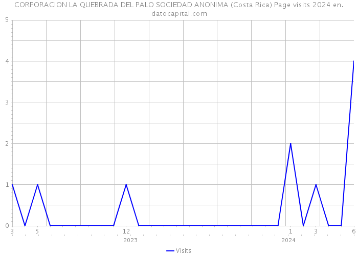 CORPORACION LA QUEBRADA DEL PALO SOCIEDAD ANONIMA (Costa Rica) Page visits 2024 