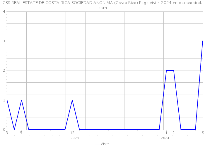 GBS REAL ESTATE DE COSTA RICA SOCIEDAD ANONIMA (Costa Rica) Page visits 2024 