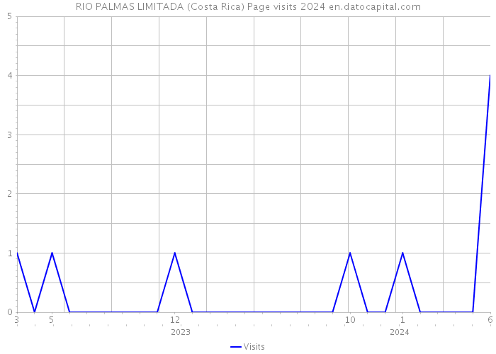 RIO PALMAS LIMITADA (Costa Rica) Page visits 2024 