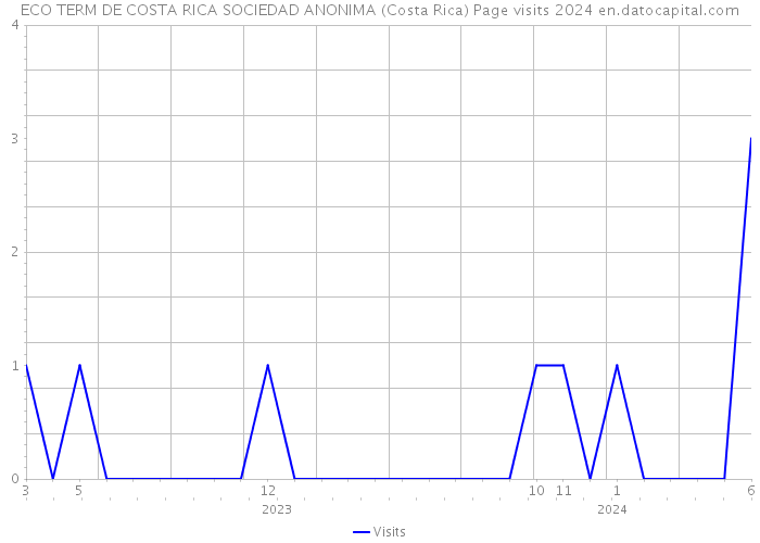 ECO TERM DE COSTA RICA SOCIEDAD ANONIMA (Costa Rica) Page visits 2024 