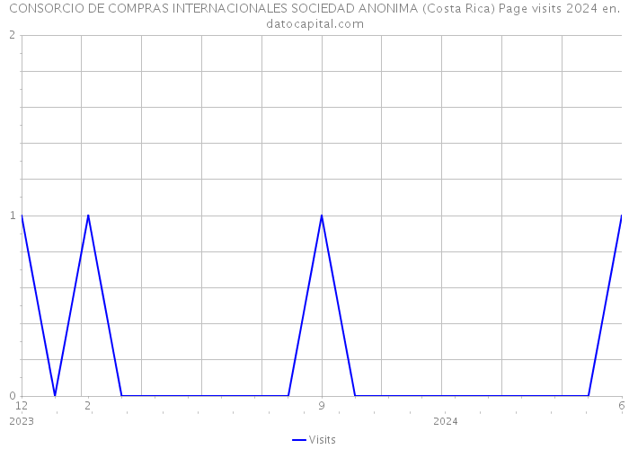 CONSORCIO DE COMPRAS INTERNACIONALES SOCIEDAD ANONIMA (Costa Rica) Page visits 2024 