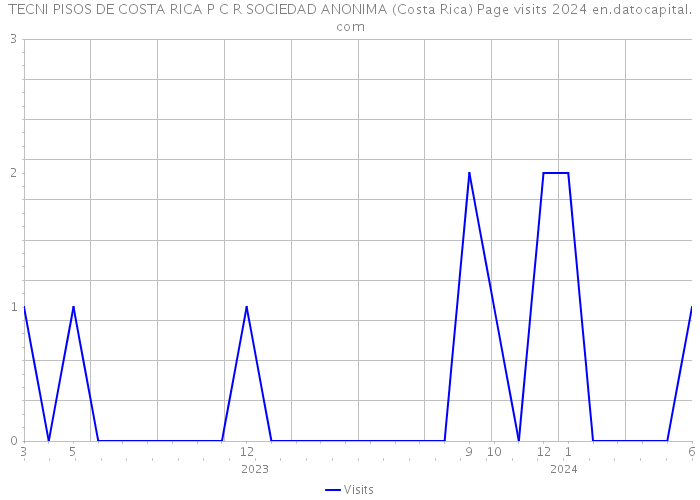 TECNI PISOS DE COSTA RICA P C R SOCIEDAD ANONIMA (Costa Rica) Page visits 2024 