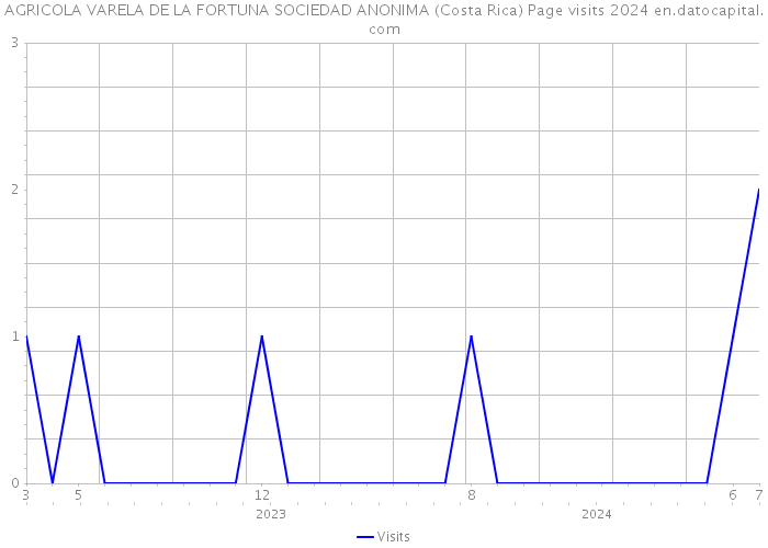 AGRICOLA VARELA DE LA FORTUNA SOCIEDAD ANONIMA (Costa Rica) Page visits 2024 