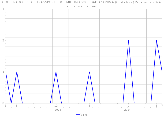 COOPERADORES DEL TRANSPORTE DOS MIL UNO SOCIEDAD ANONIMA (Costa Rica) Page visits 2024 