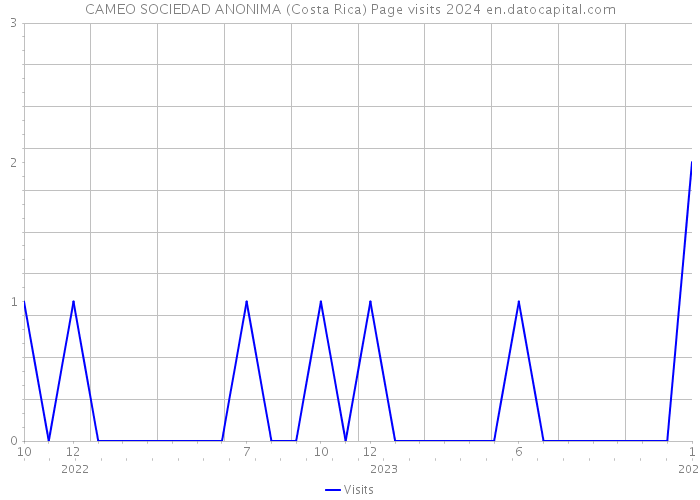 CAMEO SOCIEDAD ANONIMA (Costa Rica) Page visits 2024 