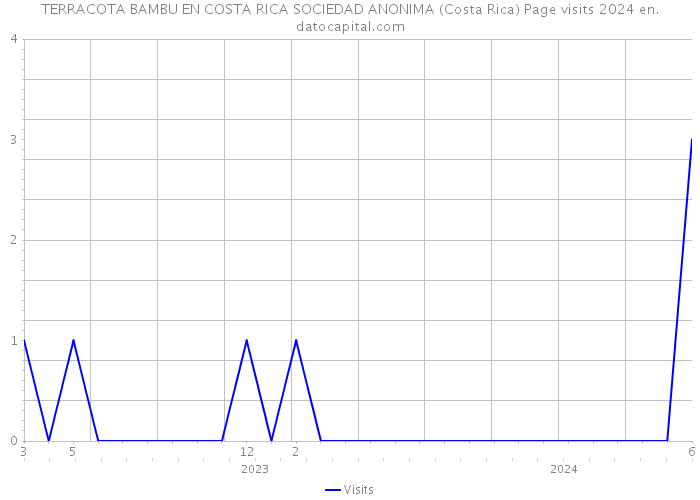 TERRACOTA BAMBU EN COSTA RICA SOCIEDAD ANONIMA (Costa Rica) Page visits 2024 