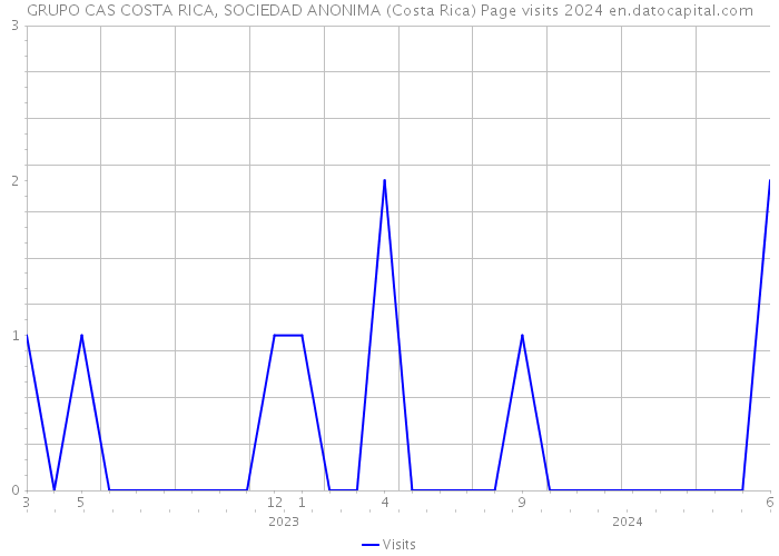 GRUPO CAS COSTA RICA, SOCIEDAD ANONIMA (Costa Rica) Page visits 2024 