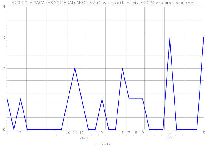 AGRICOLA PACAYAS SOCIEDAD ANONIMA (Costa Rica) Page visits 2024 