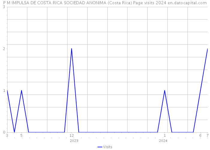 P M IMPULSA DE COSTA RICA SOCIEDAD ANONIMA (Costa Rica) Page visits 2024 