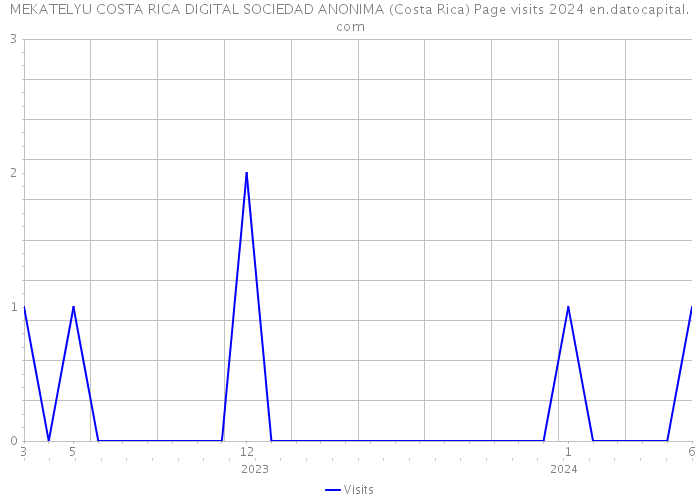 MEKATELYU COSTA RICA DIGITAL SOCIEDAD ANONIMA (Costa Rica) Page visits 2024 