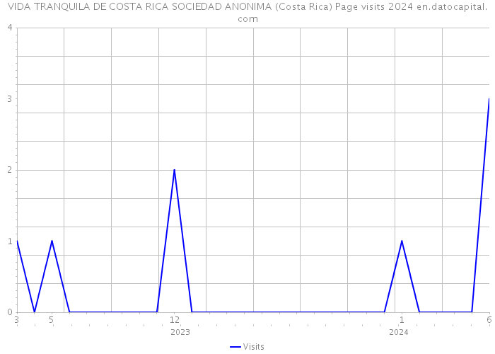 VIDA TRANQUILA DE COSTA RICA SOCIEDAD ANONIMA (Costa Rica) Page visits 2024 