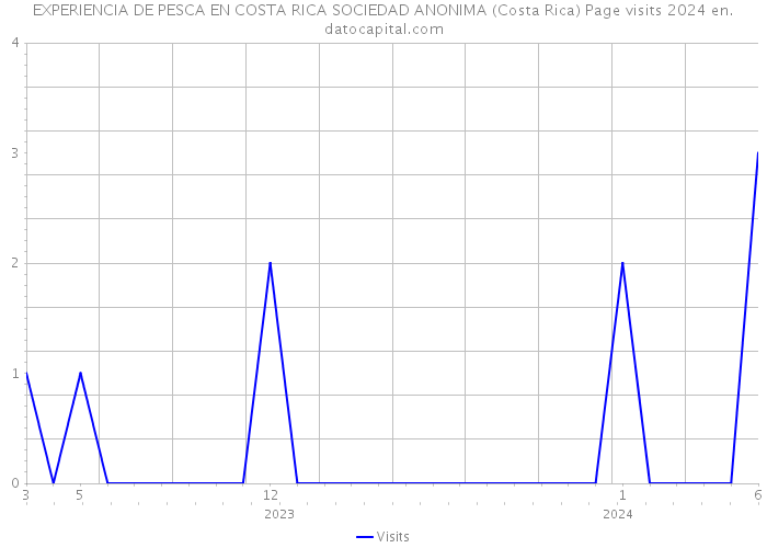 EXPERIENCIA DE PESCA EN COSTA RICA SOCIEDAD ANONIMA (Costa Rica) Page visits 2024 