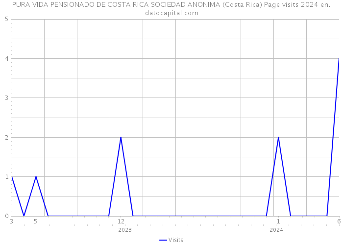 PURA VIDA PENSIONADO DE COSTA RICA SOCIEDAD ANONIMA (Costa Rica) Page visits 2024 
