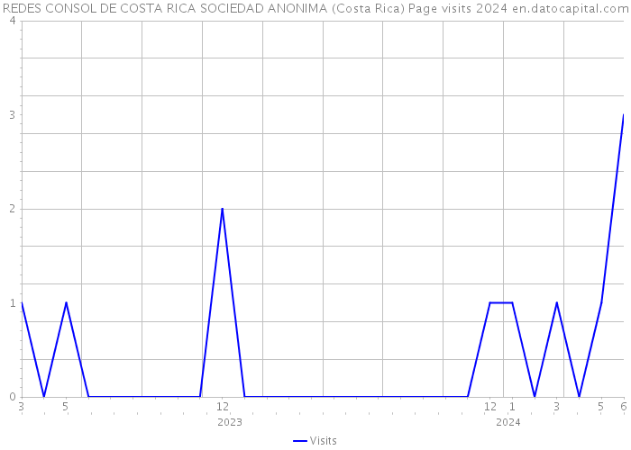 REDES CONSOL DE COSTA RICA SOCIEDAD ANONIMA (Costa Rica) Page visits 2024 