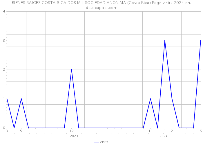 BIENES RAICES COSTA RICA DOS MIL SOCIEDAD ANONIMA (Costa Rica) Page visits 2024 