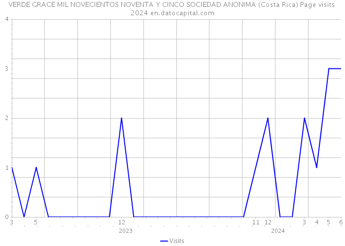 VERDE GRACE MIL NOVECIENTOS NOVENTA Y CINCO SOCIEDAD ANONIMA (Costa Rica) Page visits 2024 
