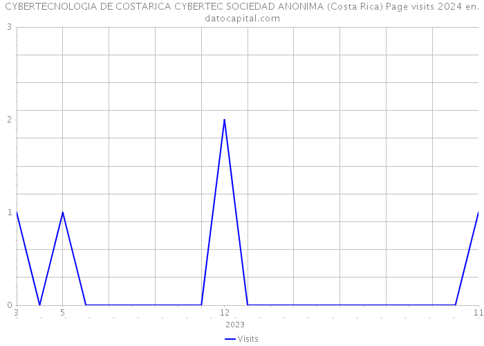 CYBERTECNOLOGIA DE COSTARICA CYBERTEC SOCIEDAD ANONIMA (Costa Rica) Page visits 2024 