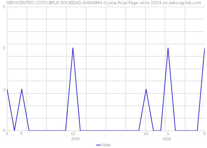 SERVICENTRO COTO BRUS SOCIEDAD ANONIMA (Costa Rica) Page visits 2024 