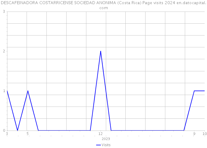 DESCAFEINADORA COSTARRICENSE SOCIEDAD ANONIMA (Costa Rica) Page visits 2024 