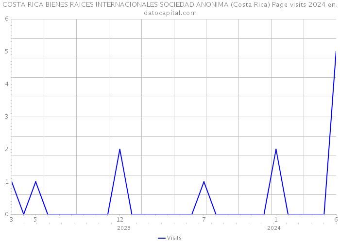COSTA RICA BIENES RAICES INTERNACIONALES SOCIEDAD ANONIMA (Costa Rica) Page visits 2024 